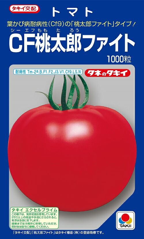 CF桃太郎ファイト　大玉トマト種子　1000粒　【トマト種】【タキイのタネ】【野菜の種】｜吉谷農芸 店