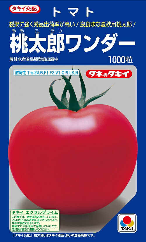 桃太郎ワンダー　大玉トマト種子　1000粒　農水省登録品種(品種名　TTM111)【トマト種】【タキイのタネ】【野菜の種】｜吉谷農芸 店