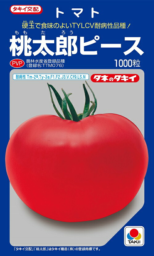 桃太郎ピース　大玉トマト種子　1000粒　農水省登録品種(品種名　TTM076)【トマト種】【タキイのタネ】【野菜の種】｜吉谷農芸 店