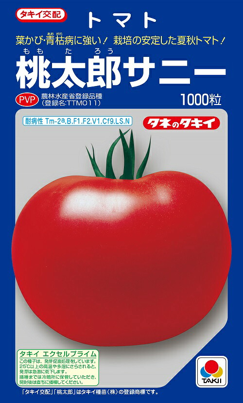 桃太郎サニー　大玉トマト種子　1000粒　農水省登録品種(品種名　TTM011)【トマト種】【タキイのタネ】【野菜の種】｜吉谷農芸 店