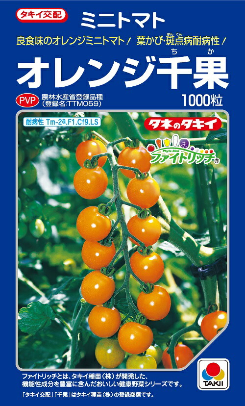 かきとまと様、24cm 楽天市場】サマー千果（TTM-117） ミニトマト種子 【トマト種