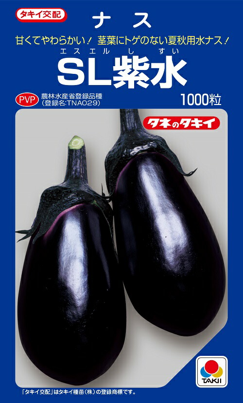 SL紫水 1000粒 水なす内果皮 農水省書きとどめる亜種(亜種名 TNA029) 【茄子種】【タキイのタネ】【蔬菜の種】