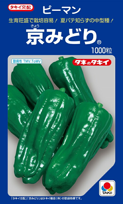 楽天市場】ほっこりえびす カボチャ 100粒 【南瓜の種】【タキイのタネ】【野菜の種】 : 吉谷農芸 楽天市場店