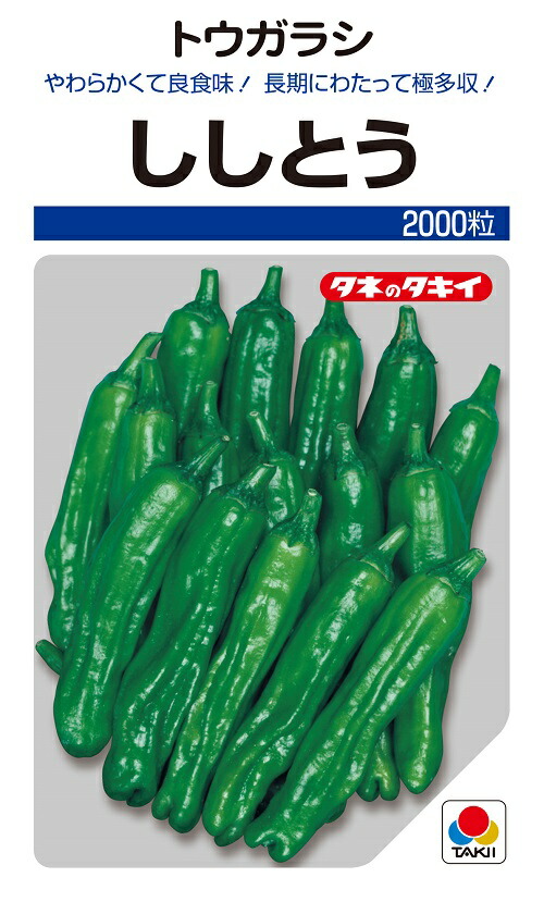 ししとう 00粒 ブランド買うならブランドオフ