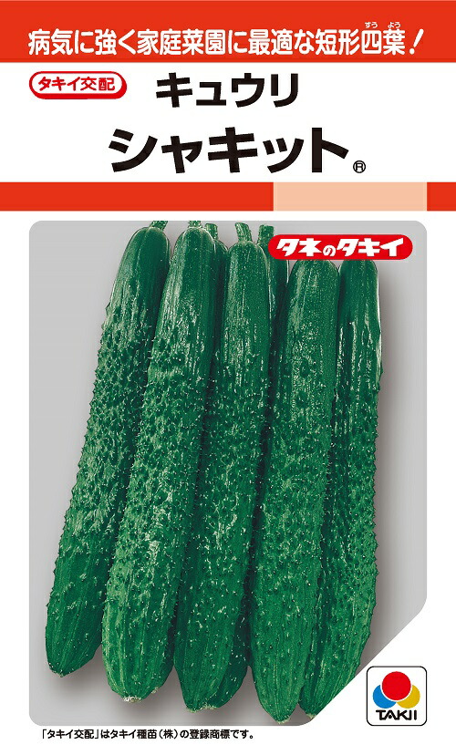 ※きゅうりのきゅーちゃん SST-ST1000-PTS ST1000-PTS