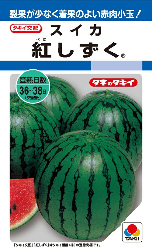３・茨城県・tomo・ピノガール ナント種苗総合カタログ2025