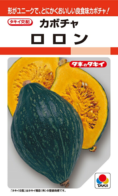 楽天市場】【2023年 予約商品】ハロウィンスイート芋苗 10本