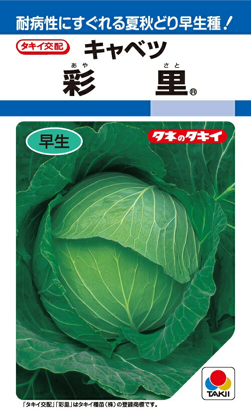 楽天市場】PVP きのこ種駒 シイタケ すその620 500個 丸棒型