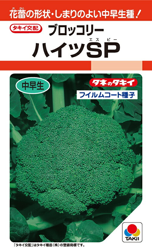 ブロッコリー種子 SK9-099 5000 + 500粒 楽天市場】 SK9-099 ブロッコリー種子 【野菜種子】【サカタ交配