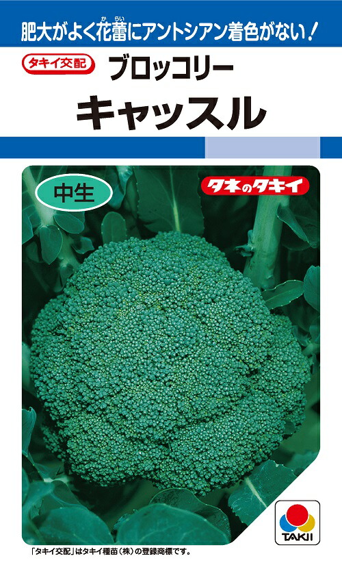 【趣味の園芸】ブロッコリー種子（SK9-099）（２個目割引価格） 趣味の園芸様専用】ブロッコリー種子（SK9-099）（2個目割引価格）