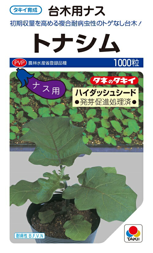 落ちてる茄子 楽天市場】野菜種子 ナス専用台木「トルバムビガー」 1,000粒