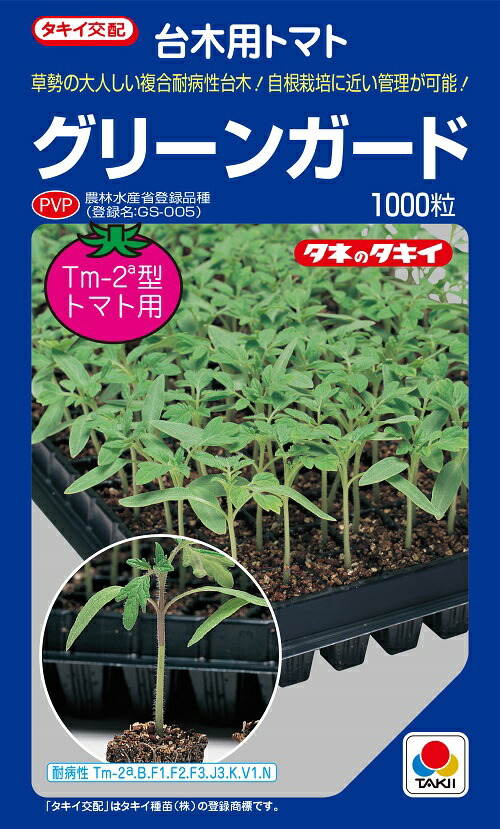 緑であること差し固める 赤茄子用台木 内果皮 1000粒 農水省書きとどめる亜種(亜種名 GS-005)【タキイ掛け合わせ】【台木用内果皮】