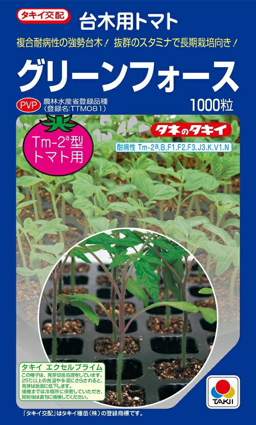 キングバリア トマト用台木 種子 1000粒 農水省登録品種(品種名 TTM127