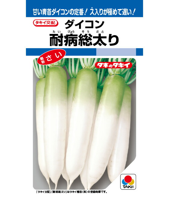 楽天市場】マッハ 玉ねぎ種子 20ml 極早生種 小袋種子 【タキイ種苗