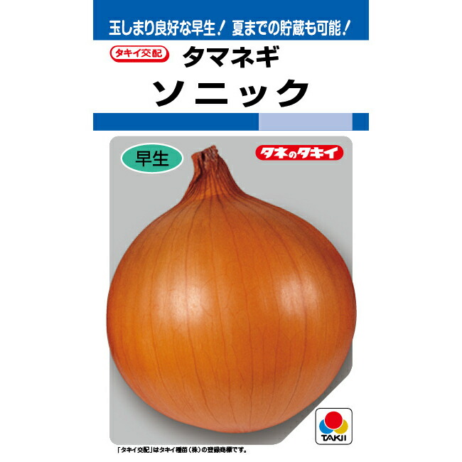 玉ねぎ苗2000本 ケルタマ　ネオアース 玉ねぎ 苗 ネオアース2000本! 玉ねぎ苗 公式通販 玉ねぎ ケルタマ 長期