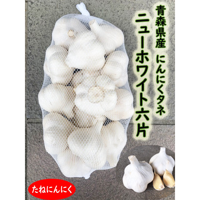 楽天市場】【9月初中旬～発送】玉ねぎ種子 もみじ3号 【七宝