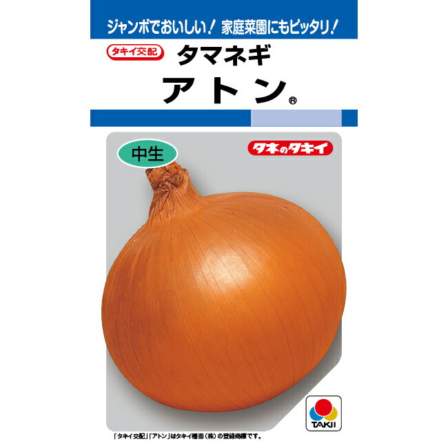 楽天市場】玉ねぎ種子 もみじ3号 【七宝交配】【作りやすい】 : 吉谷