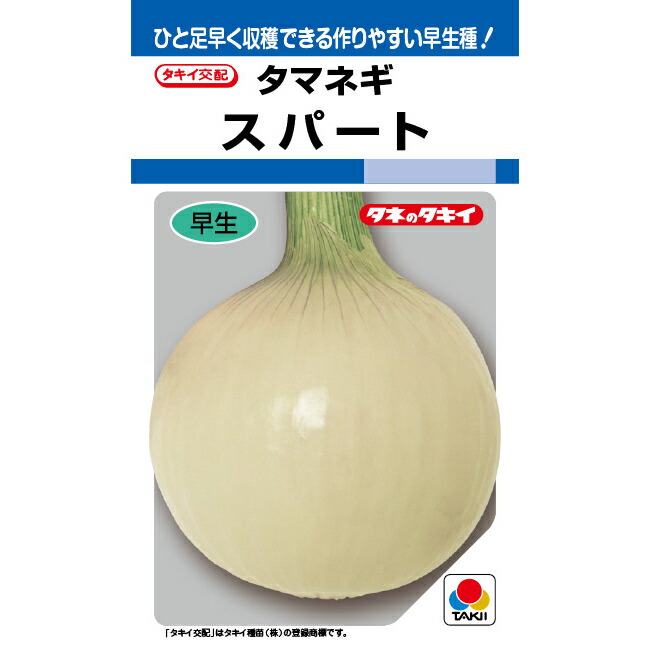 楽天市場】マッハ 玉ねぎ種子 20ml 極早生種 小袋種子 【タキイ種苗