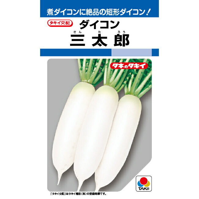 大根役者内果皮 小袋 ひょうろく玉  小袋【タキイ掛け合わせ】【大根役者の種】【蔬菜内果皮】