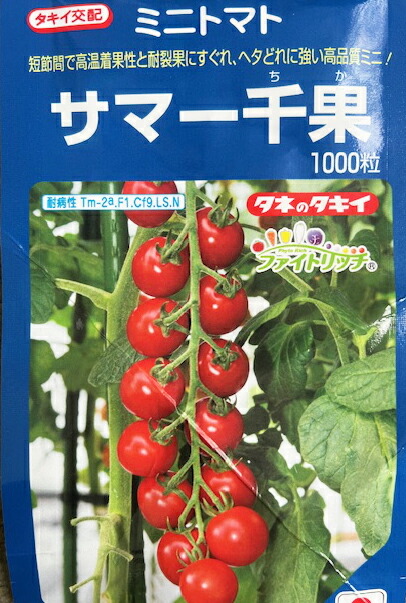 Amazon | 日本マタイ(Nihon Matai) マルソル(MARSOL) かんたん