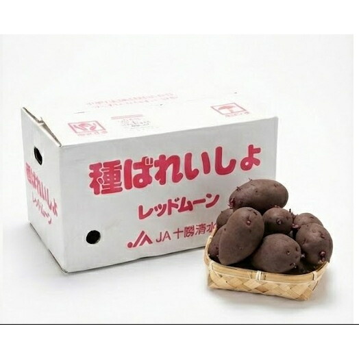 楽天市場】【令和7年 馬鈴薯種子】 じゃがいも種芋 男爵 混合サイズ(S 楽天市場】【令和7年 馬鈴薯種子】 じゃがいも種芋 男爵 混合サイズ(S