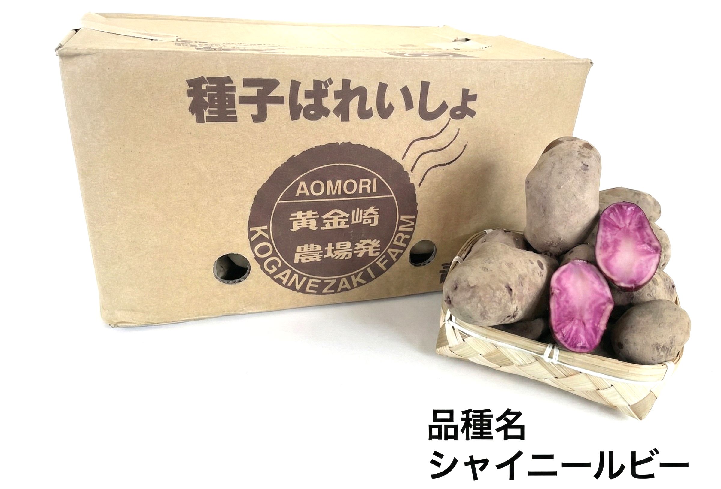 楽天市場】【令和7年産 馬鈴薯種子】じゃがいも種子 レッドムーン芋
