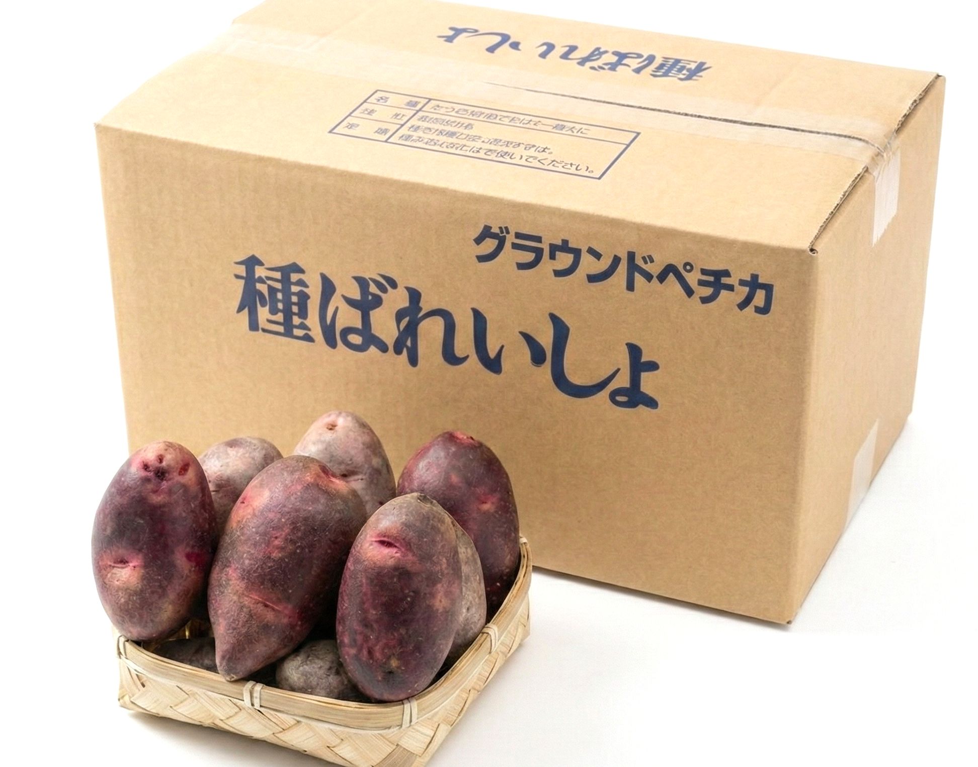 楽天市場】【令和7年産 馬鈴薯種子】じゃがいも種子 レッドムーン芋