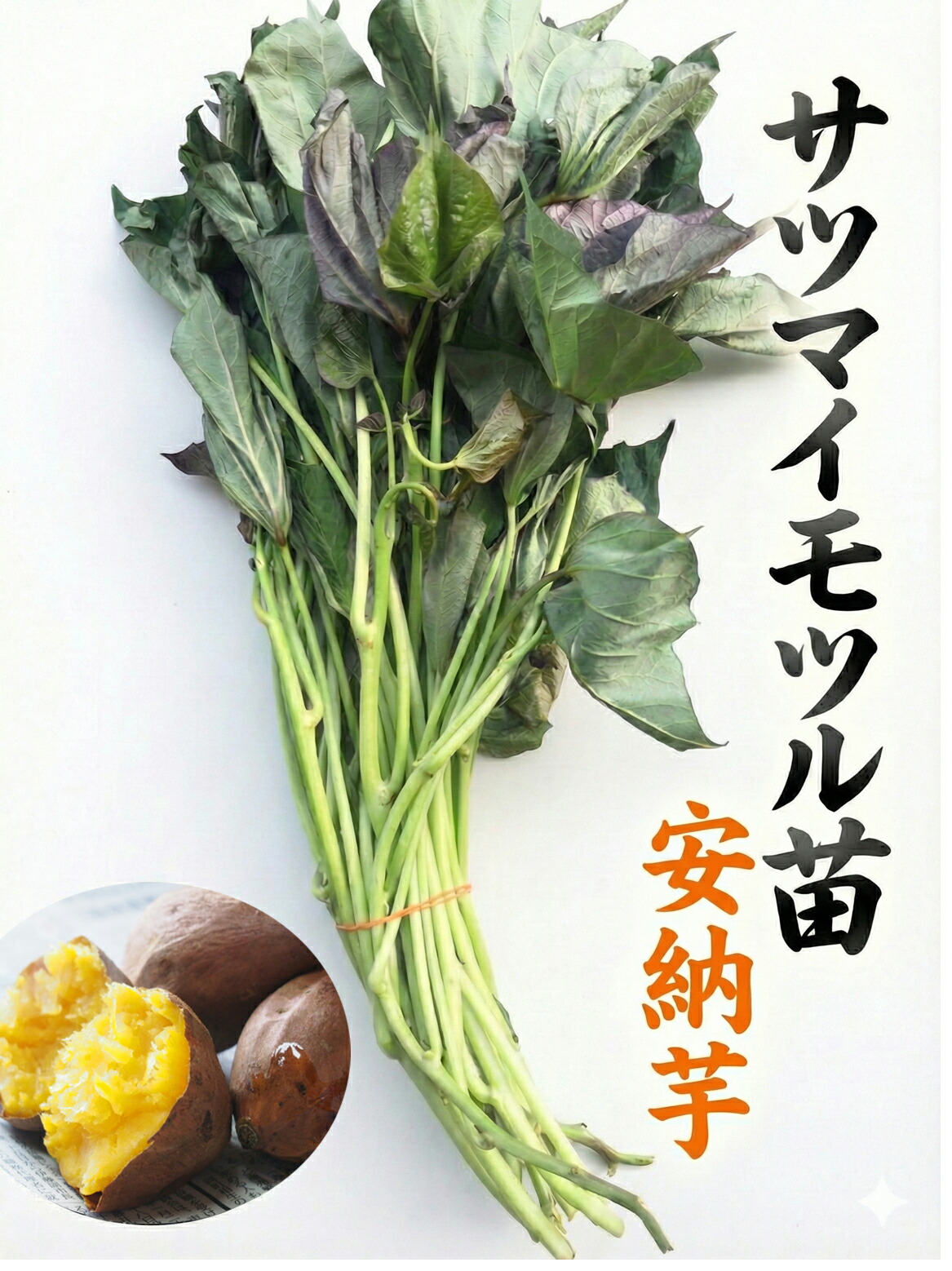 楽天市場】＼今期最終 7/18金入荷分／サツマイモ 苗 販売【中尾農園