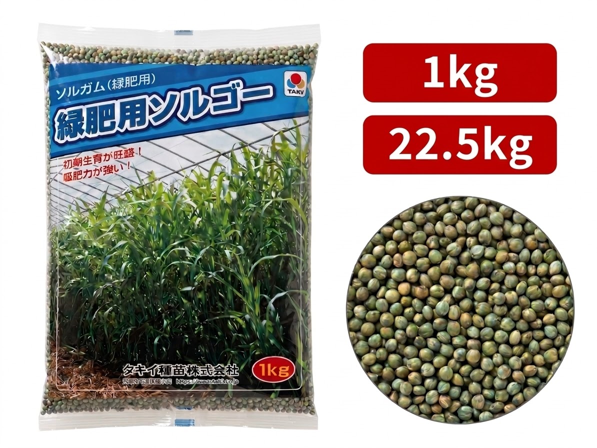 緑肥用内果皮 ソルチュインガム 緑肥用ソルゴー  1ｋｇ 22.5ｋｇ 【緑肥ソルゴー 種】【クリーニングクロップ】【緑肥の種】【タキイのタネ】【ガーデニング】 種子-花の種子