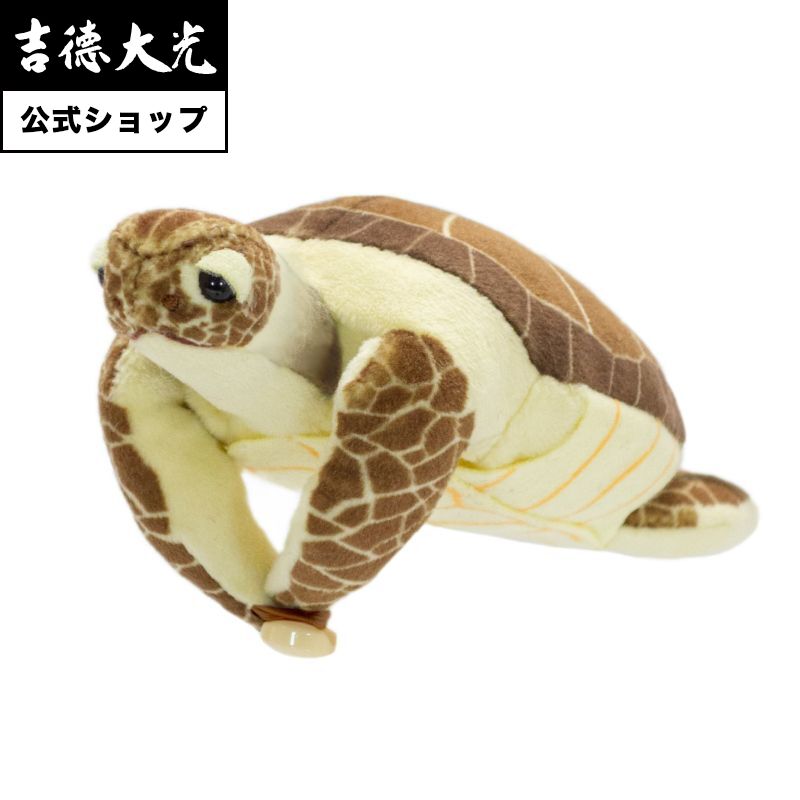 楽天市場】カメ ぬいぐるみ アカウミガメ Mサイズ : カロラータ
