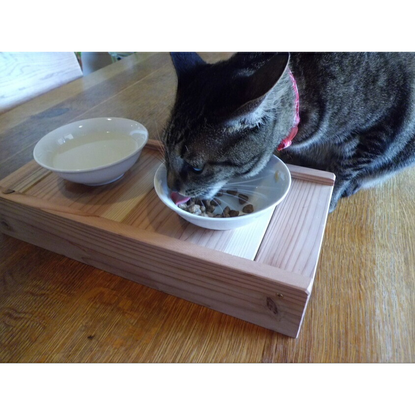トップ 20240424092313_1.jpg 食器・餌やり・水やり用品