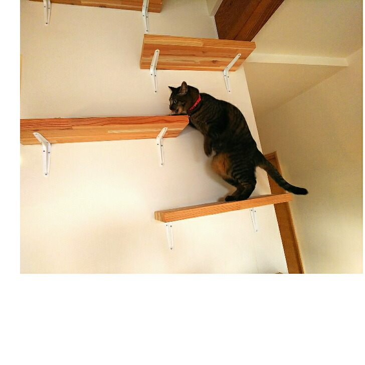 キャットステップ 壁付け 階段 2段 猫用 キャットウォーク 壁