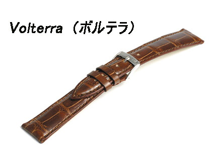 最大限度100%Pうしろ側当選確からしさ1/2ＭＯＲＥＬＬＡＴＯ モレラート 時辰儀ダンス楽隊 VOLTERRA ( ボルテラ )アリゲーター U0856056【新品お取り寄せ品】