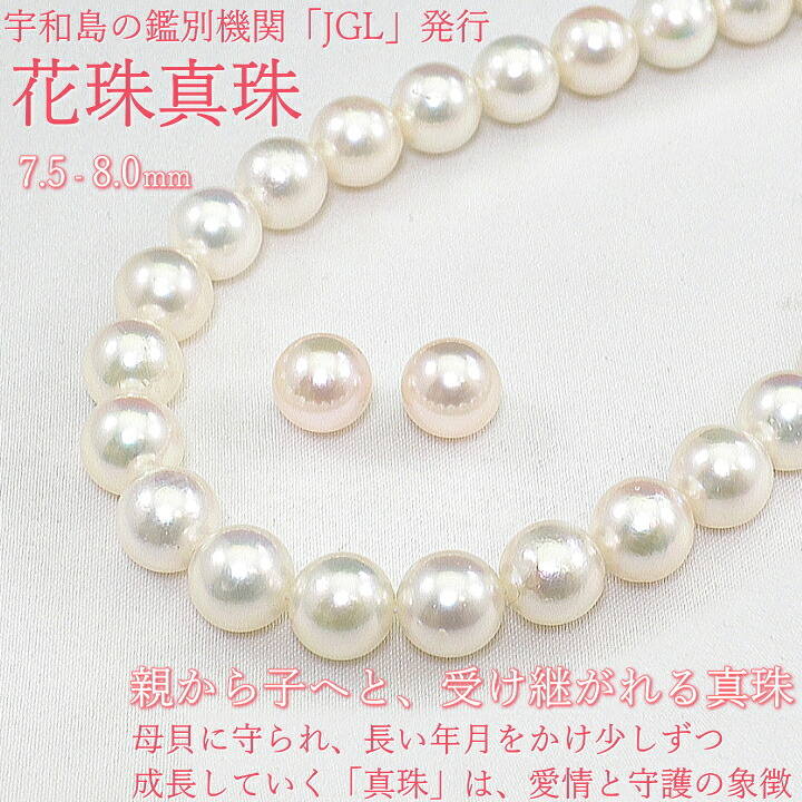 【限定1本】7.5-8.0ミリ JGL アコヤ花珠真珠 パールネックレス セット 選べるK14WGピアスorバネ式シルバーイヤリング 追加料金でK14WGイヤリング 花珠パール プレゼント ギフト 冠婚葬祭 パールセット k14wg ねじ式 8mm