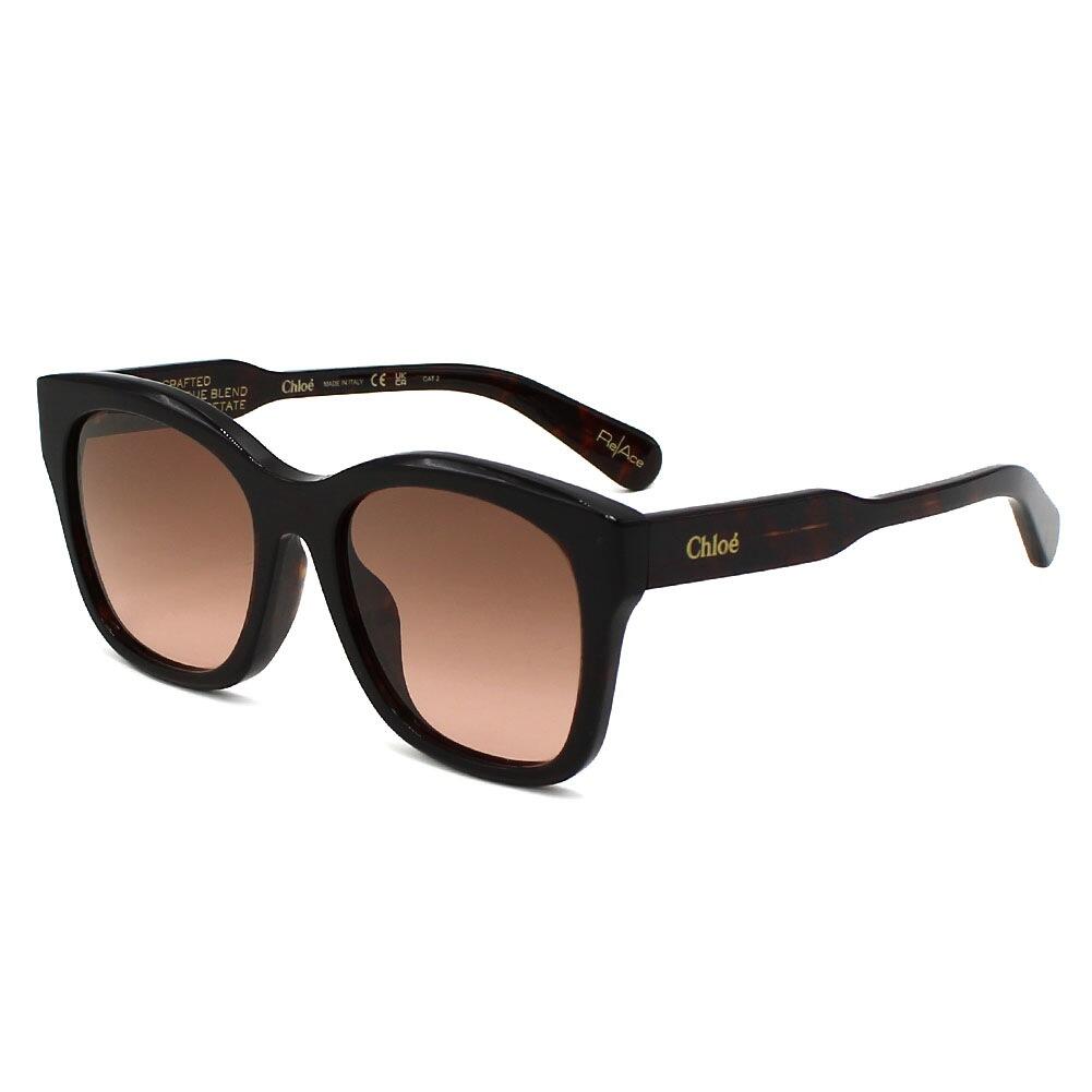Chloe クロエ CH0194SK-002 サングラス アジアンフィット メンズ レディース ユニセックス
