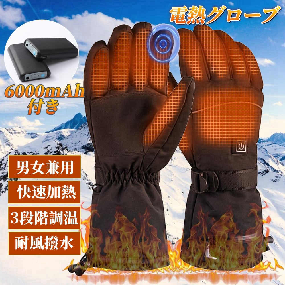 日本オンライン 電熱手袋 スキーグローブ 冬用 電熱グローブ スキー