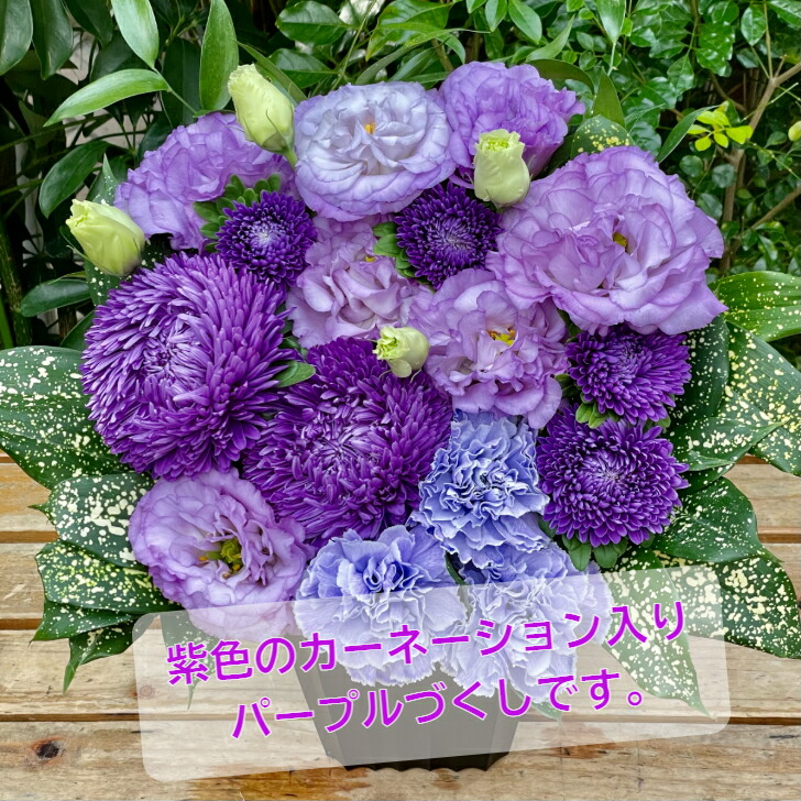 御母さんの太陽日頂戴物 パープル整え 母の日 ギフト カーネーション 貨物輸送無料 付届 真っ盛り 洒落た お花 都合メント 5000サークル 花アレンジメント 可愛らしい 紫 パープル トルコキキョウ フラワーアレンジ オシャレ 紫色のカーネーションと他のお花でパープル