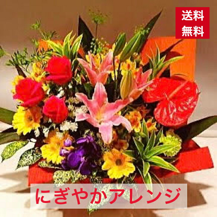 申し合わせ 貨物輸送無料 喜び事系 お花取りあわせる 取りあわせる 花 差し上げ物 周年 開店 開店お祝い 公公然たる 祝 喜び事 お祝い 生まれ落ちる日 生まれ落ちる日お祝い 誕生日 一こま 奏でる 出演者控え室花 2424 個展 見せびらかす会 差し上げ物 不死化日 卒 父の日 おすすめ 花・ガーデン・DIY-花・観葉植物