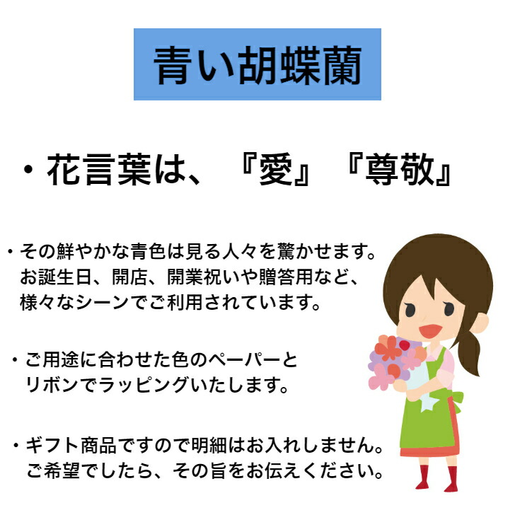 楽天スーパーsale期間中 半額 青いミニ胡蝶蘭 送料無料 ブルー 青 コチョウラン お祝い 開店 御祝 移転 祝 誕生日 お祝いギフト バースデー 花 父の日 洋ラン オープン アマビリス 胡蝶蘭 ブルー胡蝶蘭 青胡蝶蘭 青い胡蝶蘭 喜寿 古希 還暦 Cooltonindia Com