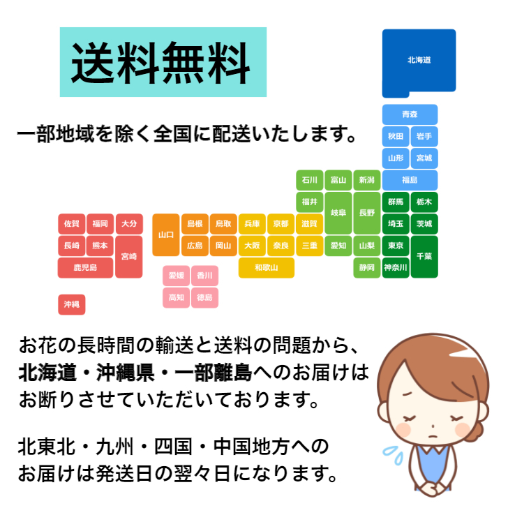 胡蝶蘭 ブルー 本立ち お祝い 開店 開業 開院 周年 御祝 移転 昇進 新築 就任 当選 祝 誕生日 竣工 お祝いギフト 父の日 栄転 発表会 個展 青 引っ越し バースデー 楽屋 舞台 花 洋ラン オープン ブルー胡蝶蘭 商品id