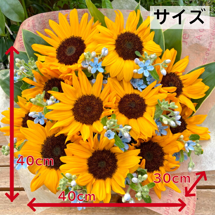 ひまわり 申し合わせ 貨物輸送無料 お中元 夏場貰い物 ヒマワリ 実父の年代 夏 貰い物 父の日ギフト 絶頂 ひまわり ヒマワリ お洒落 お花 取合せるメント 夏の花 ヒマワリアレンジメント ヒマワリのアレンジメント 花ギフト ブロッサムアレンジ Hotjobsafrica Org