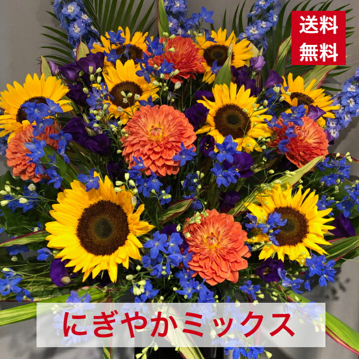 日本の首都23区限局 架絶頂 1節 にぎやか 雑ぜる 設計 ひまわり 貨物輸送無料 開店 開業 創建 開院 周年 引っ越し 御寿 開店慶典 祝い事 祝花 コンヴァーティブル 花 ライブ 演奏会 フラスタ 華スタンド スタフラ スタンドフラワー 商品id 11 スタンド Hotjobsafrica Org