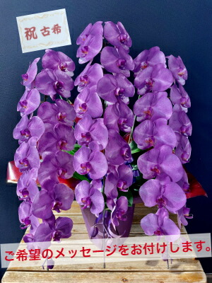 胡蝶蘭 紫 パープル 3本立ち 早割 送料無料 敬老の日 敬老 古希 喜寿 米寿 古稀 還暦 賀寿 お祝い 祝 御祝 御祝い 胡蝶蘭紫 紫胡蝶蘭 紫の 胡蝶蘭 紫色の胡蝶蘭 パープル胡蝶蘭 紫色 商品id 誕生日 花 ギフト こちょうらん コチョウラン Sermus Es