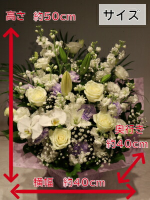 アレンジメント 御供え用 お供え用 送料無料 淡い色 淡い 白 緑 白色 白系 葬儀 葬儀用 おそなえ お彼岸 御供え 御供 供花 花 商品id 5721 おしゃれ アレンジメント オシャレ フラワーアレンジ フラワーアレンジメント Sermus Es アレンジメント 御供え用 お供え用 送料無料 淡い色 淡い 白 緑 白色 白系 葬儀 葬儀用 おそなえ お彼岸 御供え 御供 供花 花 商品id 5721 おしゃれ アレンジメント オシャレ フラワーアレンジ フラワーアレンジメント Sermus Es