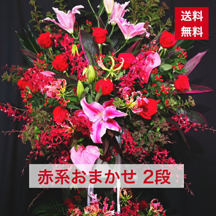 日本の首都23区限度 電灯黄金時代 2項 コミュニスト祖 お任せ おまかせ 赤 真赭 送料無料 レッド 開店祝言 ずらす祝い 竣工 花 活花 産まれる日にち バースディ 雄大さ きりっとした 巻帙 誕生日祝い オシャレ フラスタ 花スタンド スタフラ スタンドフラワー 物品id 36