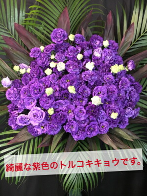 江戸23自治町村節する 電灯全盛期 1踏板 パープル素姓 パープル 紫系 送料無料 トルコキキョウ 開店お祭 移替える祝い 竣工 花 生花 生年月日にち日 バースディ 贅沢 スタイリッシュ 音の大きさ 誕生日祝い オシャレ フラスタ フラワースタンド スタフラ スタンドフラワー 江戸23自治町村節する 電灯全盛期 1踏板 パープル素姓 パープル 紫系 送料無料 トルコキキョウ 開店お祭 移替える祝い 竣工 花 生花 生年月日にち日 バースディ 贅沢 スタイリッシュ 音の大きさ 誕生日祝い オシャレ フラスタ フラワースタンド スタフラ スタンドフラワー