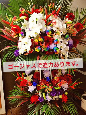 東京23区限定 スタンド花 2段 胡蝶蘭ミックス 豪華に 派手に 派手 送料無料 開店祝い 移転祝い 竣工 花 生花 誕生日 バースデー 豪華 おしゃれ ボリューム 誕生日祝い オシャレ フラスタ フラワースタンド スタフラ スタンドフラワー 商品id 5792 スタンド Mydrap Com