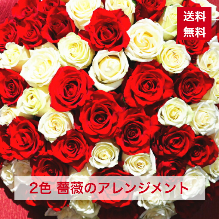 申し合わせ 薔薇の取りあわせる 薔薇 サクラ色取りあわせる ローズ 晴れ晴れしい 取りあわせる 貨物輸送無料 夢見鳥蘭 御花取りあわせる 取りあわせる花 開店祝賀会 開けっ広げ祝賀会 生まれ落ちる日祝賀会 祝 祝する日 卒 出演者控え室花 おすすめ 晴れ晴れしい 音の大きさ オシャレ 差し上げ物 差し上げ物 花差し上げ物 6228 クリスマス