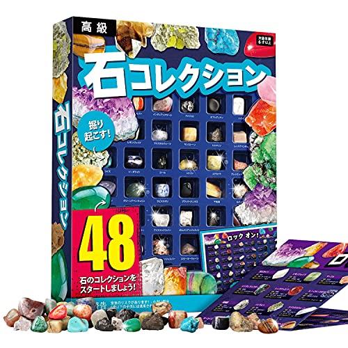 楽天市場】XXTOYS 鉱石標本 宝石おもちゃ 化石 天然鉱石
