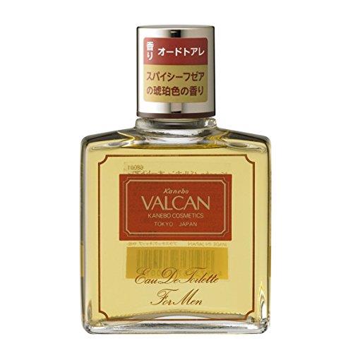 超人気の雑貨店 ヴァイパーゴールド 楽天市場】ドリーミーソレイユ EDT 100ml SP 香水(男性用)